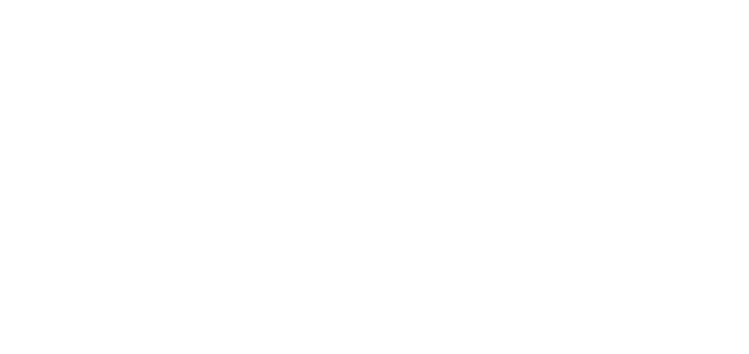 BRI logo